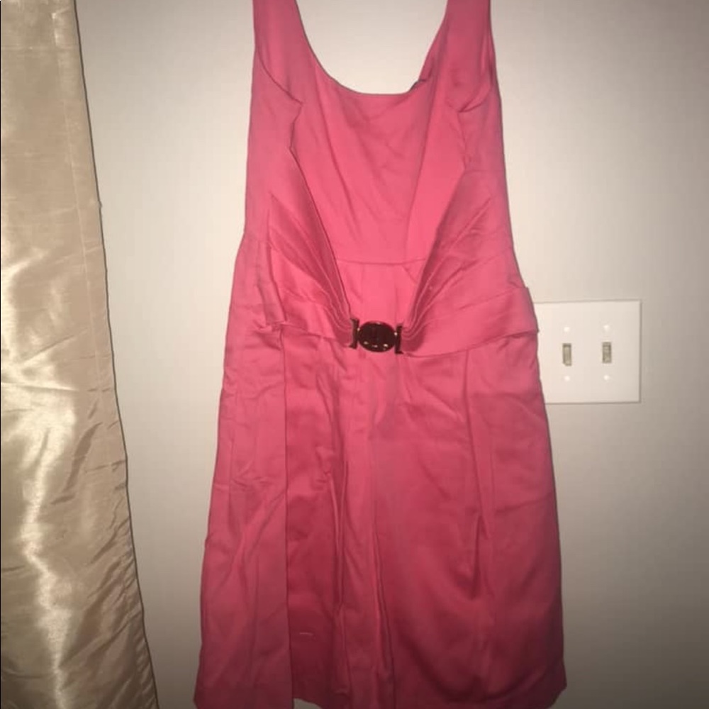 NWT Lissa Mar Pink Dress - Multiple sizes